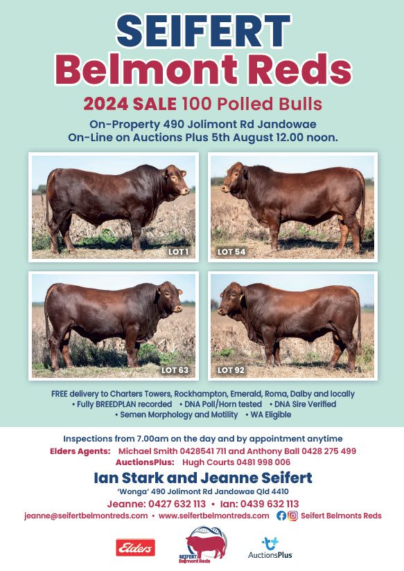 2024 Bull Sale Catalogue