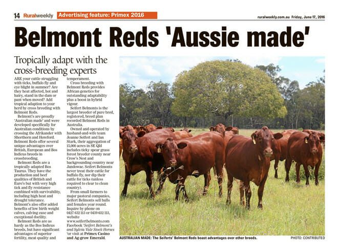 Belmont Reds 'Aussie made' Rural Weekly June 2016