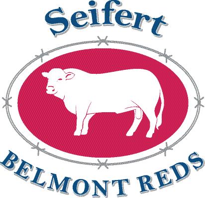 Seifert Belmont Reds Logo