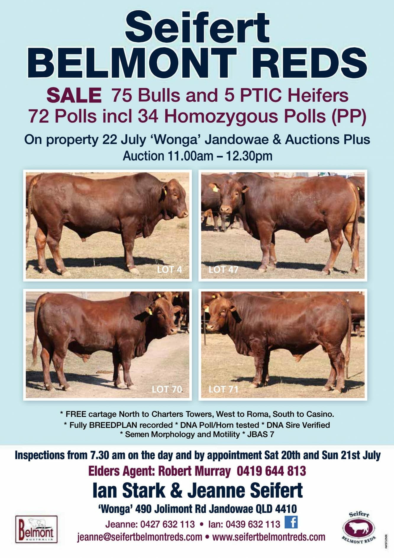 Seifert Belmont Reds Bull Sale Catalogue 2019 Front Cover