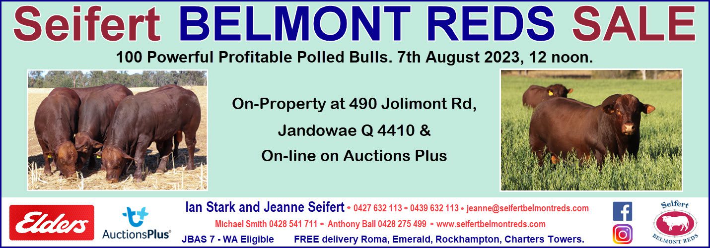 2023 Seifert Belmont Reds Sale flyer