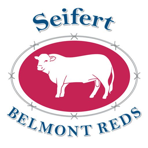 Seifert Belmont Reds SEI190005 semen for sale at $35/straw