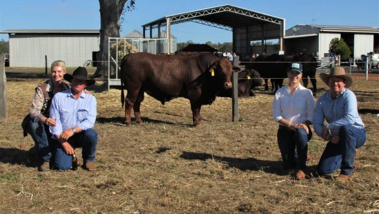 Seifert Belmont Red sale tops at $32,000